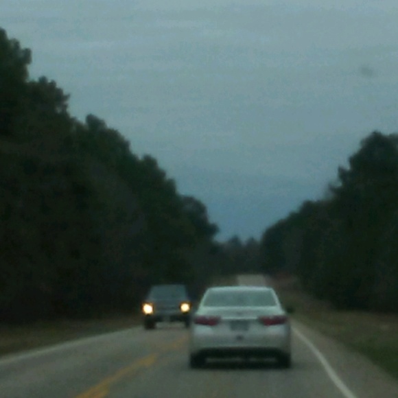 Meet your Posher, Izaac - Picture 1 of 1